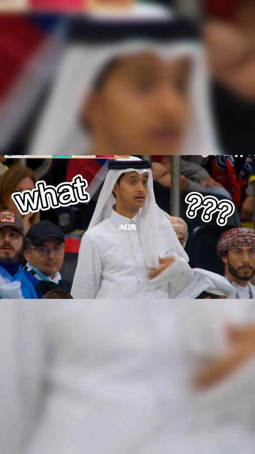 世界杯卡塔尔王子表情包