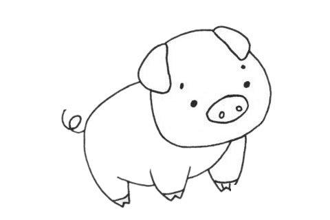 可爱的猪简笔画图片