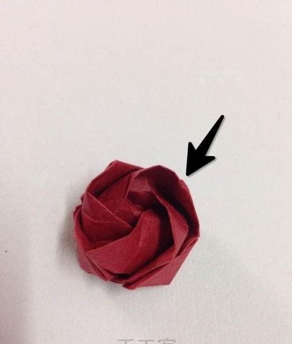 100步详解浪漫温馨的玫瑰花折法图解教程如何折玫瑰花图解大全