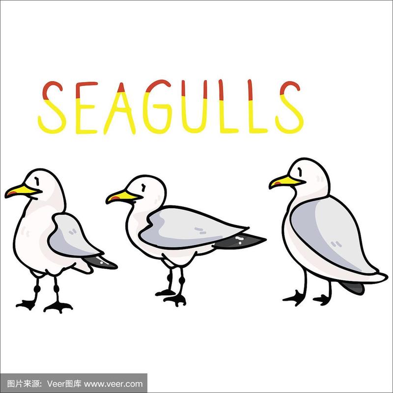 可爱的海鸥文字卡通