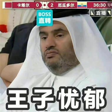 卡塔尔王子 世界杯 世界杯卡塔尔王子表情包 王子emo居然还有钱解决不