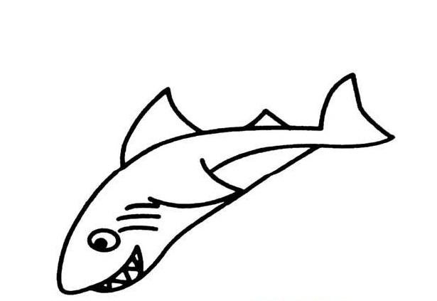 简单好看的大鲨鱼简笔画鲨鱼