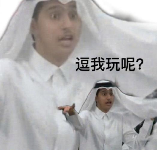 世界杯96卡塔尔王子表情包