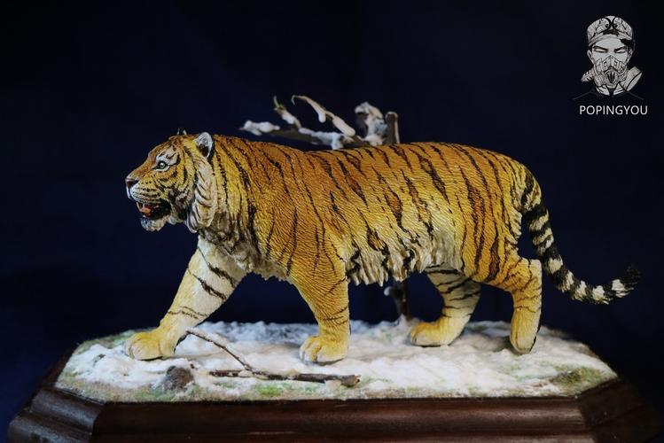 万兽工作室孟加拉虎gk动物模型