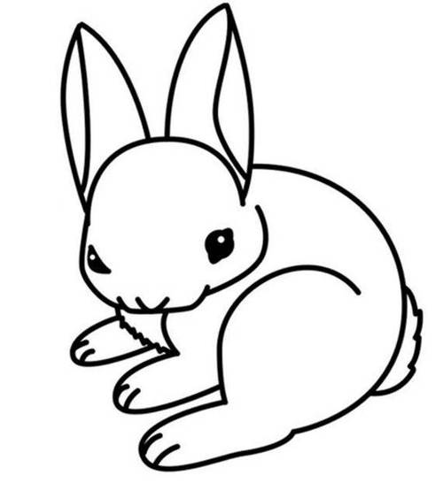 画小白兔简笔画最新教学 简单的小白兔怎么画