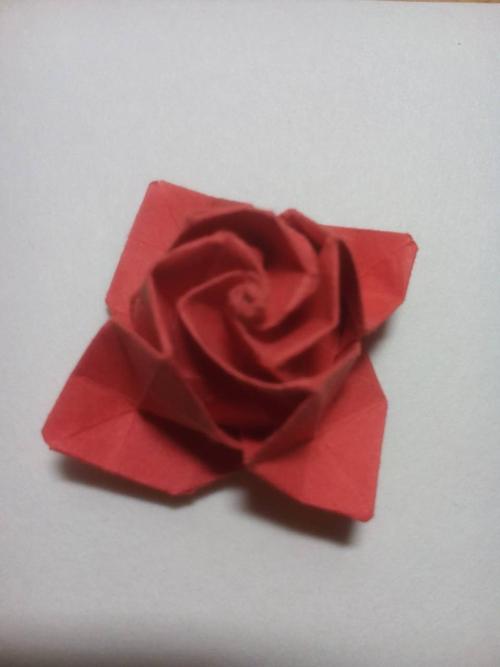怎么折这种纸玫瑰?(图和文字说明 )