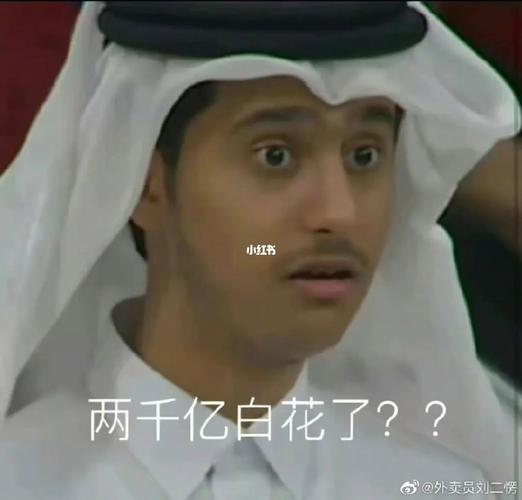 卡塔尔王子的表情包