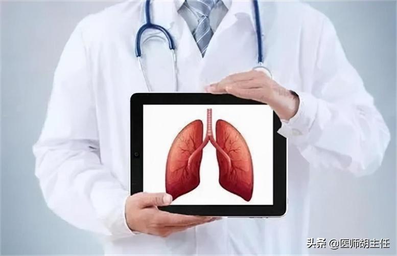肺在人体的哪个位置图肺部疾病来临前会先经历3个症状