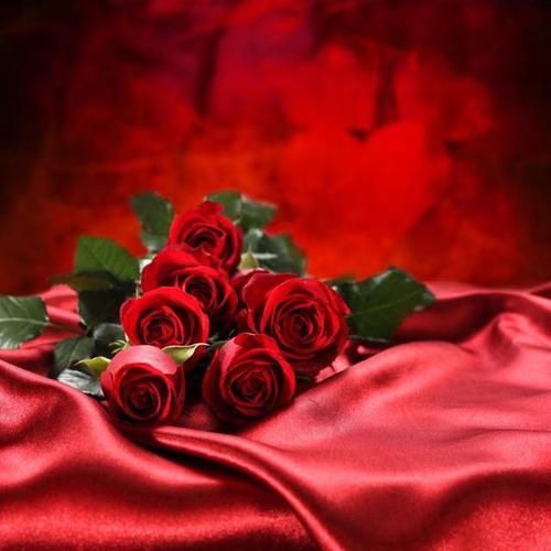 2016 情人节最受欢迎的求婚表白礼物一:鲜红玫瑰花