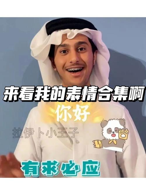 笔记灵感  #表情包  #卡塔尔  #小王子  #拉伊卜  #世界杯 #拉伊卜小