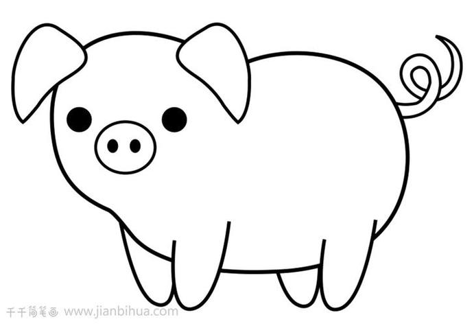 简笔画怎么画可爱小猪简笔画画法猪和猪头简笔画图片资料猪的简笔画